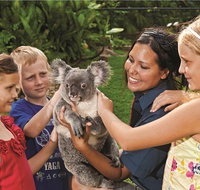 Kuranda Koala Gardens General Entry Ticket