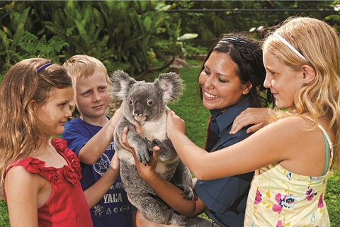 Kuranda Koala Gardens General Entry Ticket - Accommodation Main Beach 0