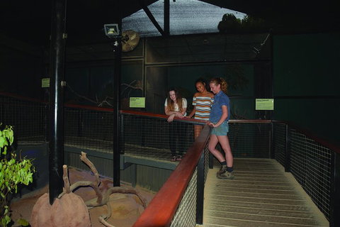 Kuranda Koala Gardens General Entry Ticket - Accommodation Main Beach 2
