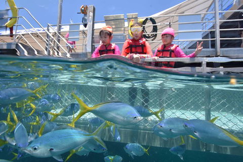 Outer Reef Pontoon Experience From Cairns - Accommodation Main Beach 0