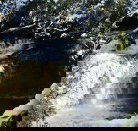 Cradle Mountain Day Tour from Launceston Including Lunch - Accommodation Main Beach