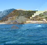 Kayaking with Dolphins in Byron Bay Guided Tour - Accommodation Main Beach