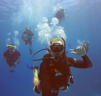 12-Day Great Barrier Reef Marine Conservation Program from Cairns - Accommodation Main Beach