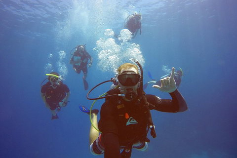 12-Day Great Barrier Reef Marine Conservation Program From Cairns - Accommodation Main Beach 0