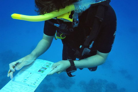 12-Day Great Barrier Reef Marine Conservation Program From Cairns - Accommodation Main Beach 2