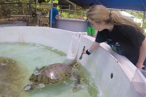 12-Day Great Barrier Reef Marine Conservation Program From Cairns - Accommodation Main Beach 4