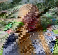 Great Ocean Road Reverse Itinerary with 12 Apostles from Melbourne - Accommodation Main Beach