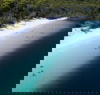 All-Inclusive Fraser Island Day Tour - Accommodation Main Beach
