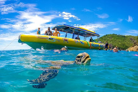 Great Barrier Reef Scenic Flight And Ocean Rafting Whitehaven Beach Day Trip - Accommodation Main Beach 1