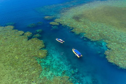 Great Barrier Reef Scenic Flight And Ocean Rafting Whitehaven Beach Day Trip - Accommodation Main Beach 4