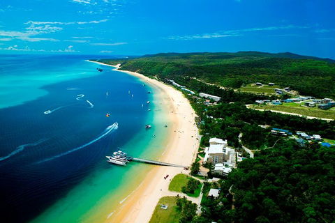 Tangalooma Island Resort Whale Watching Day Cruise - Accommodation Main Beach 2