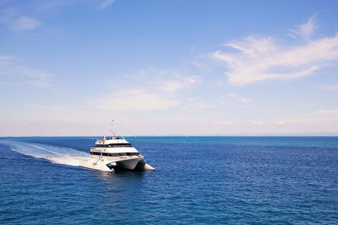Tangalooma Island Resort Whale Watching Day Cruise - Accommodation Main Beach 5