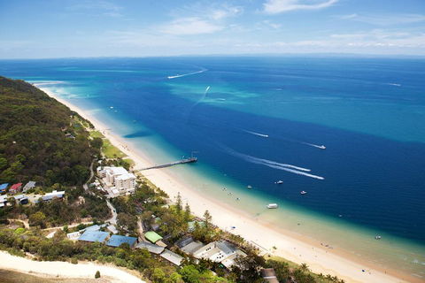 Tangalooma Island Resort Whale Watching Day Cruise With Dolphin Feeding - Accommodation Main Beach 2