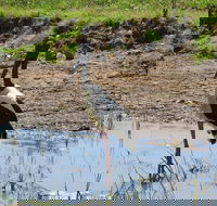 Darwin to Kakadu Day Trip by Air Including Yellow Water Cruise - Accommodation Main Beach