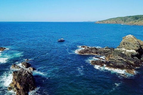 Julian Rocks Byron Bay Cruise - Accommodation Main Beach 0