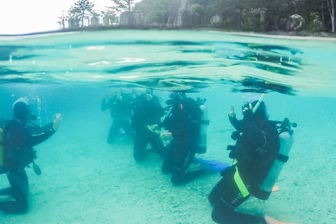 3 Day Whitsundays Sailing And Diving Adventure: Kiana - Accommodation Main Beach 4