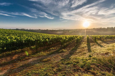 Perth To Margaret River Wine Tour - 2 Day Premium Boutique Wine Tour Experience - Accommodation Main Beach 0