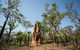 Litchfield National Park - Top End Day Tour From Darwin - thumb 5