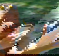 2-Day Melbourne to Adelaide Tour Great Ocean Road and Grampians One Way Trip - Accommodation Main Beach