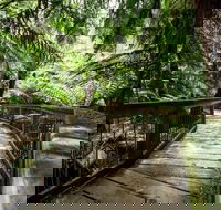 12 Apostles Eco-Friendly Great Ocean Road Iconic Adventure from Melbourne - Accommodation Main Beach