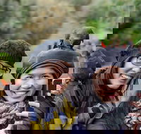 Small-Group Great Ocean Road and 12 Apostles Full-Day Tour from Melbourne - Accommodation Main Beach