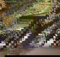 Adelaide Highlights Hahndorf  McLaren Vale Wine Tasting and Sightseeing Tour - Accommodation Main Beach