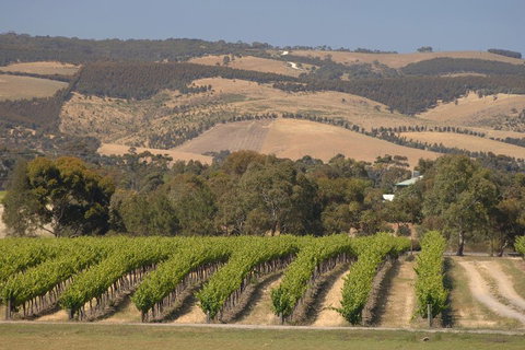 McLaren Vale And Glenelg Wine Tasting And Sightseeing (Half-day Afternoon) - Accommodation Main Beach 2