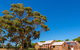McLaren Vale And Glenelg Wine Tasting And Sightseeing (Half-day Afternoon) - thumb 5