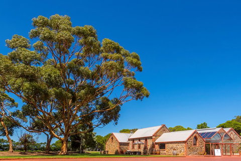 McLaren Vale And Glenelg Wine Tasting And Sightseeing (Half-day Afternoon) - Accommodation Main Beach 5