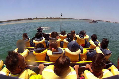 Jet Boat Express Ride - 30mins - Accommodation Main Beach 5