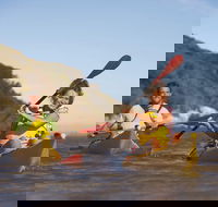 Kangaroo Island Self-Guided Kayaking on the Harriet River - Accommodation Main Beach