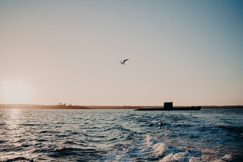 Phillip Island Twilight Cruise - Accommodation Main Beach 1