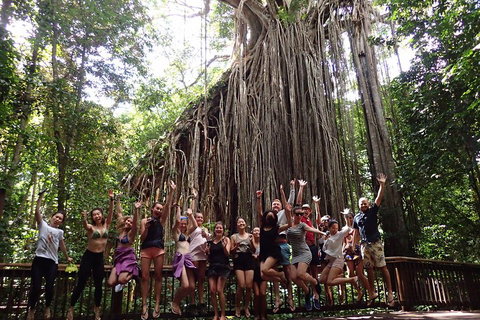 Atherton Tablelands Waterfalls Tour From Cairns - Accommodation Main Beach 5