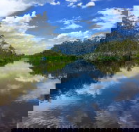 Noosa Everglades Serenity Cruise  Highlights Tour Inc. Lunch  Cruise - Accommodation Main Beach