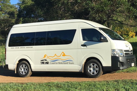 Noosa Everglades Serenity Cruise & Highlights Tour Inc. Lunch & Cruise - Accommodation Main Beach 5