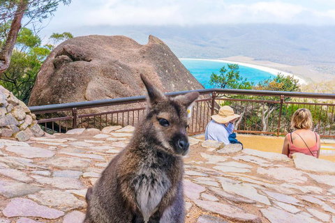 Wineglass Bay & Freycinet NP Full Day Tour From Hobart Via Richmond Village - Accommodation Main Beach 0