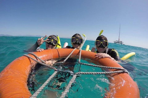 Full-Day Great Barrier Reef Sailing Trip - Accommodation Main Beach 0