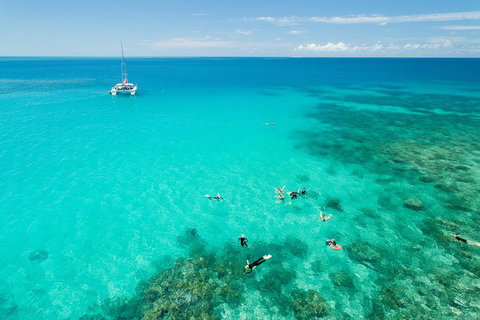 Full-Day Great Barrier Reef Sailing Trip - Accommodation Main Beach 2