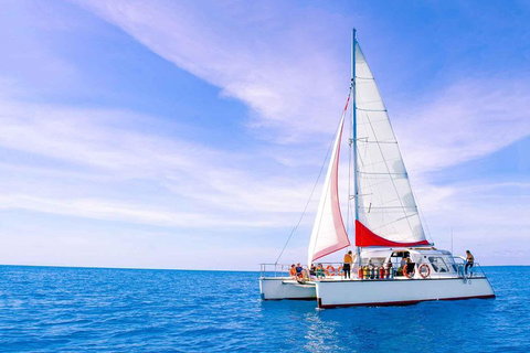 Full-Day Great Barrier Reef Sailing Trip - Accommodation Main Beach 4