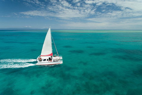 Full-Day Great Barrier Reef Sailing Trip - Accommodation Main Beach 5