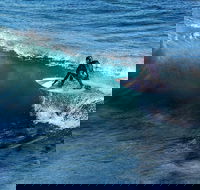 Great Ocean Road Highlights Tour - 2 Days 1 Night - Accommodation Main Beach