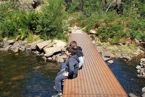 Grampians & Halls Gap - Accommodation Main Beach 2