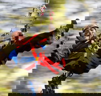 12 Apostles and Otway Fly Zipline Day Trip from Melbourne - Accommodation Main Beach