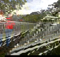 Adventure Sunset Three Day Great Ocean Road Tour - Accommodation Main Beach