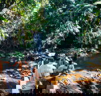 Aquaduck  Your choice of Gold Coast Rainforest Tour - Accommodation Main Beach