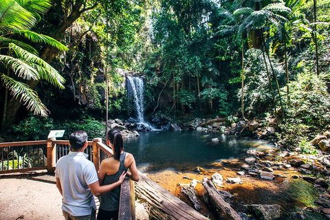 Aquaduck & Your Choice Of Gold Coast Rainforest Tour - Accommodation Main Beach 0