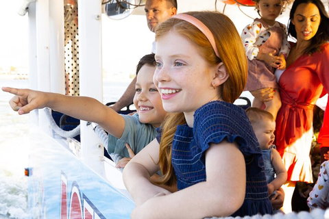 Aquaduck & Your Choice Of Gold Coast Rainforest Tour - Accommodation Main Beach 2