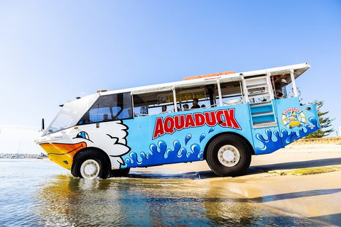Aquaduck & Your Choice Of Gold Coast Rainforest Tour - Accommodation Main Beach 3