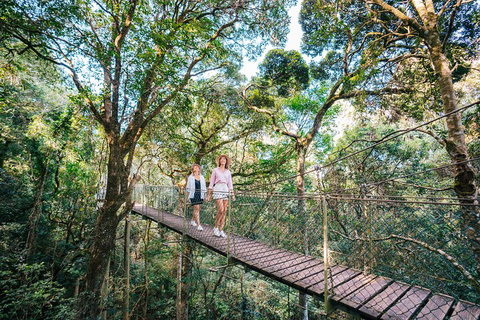 Aquaduck & Your Choice Of Gold Coast Rainforest Tour - Accommodation Main Beach 4