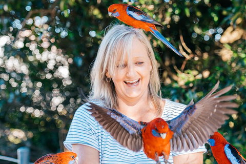 Aquaduck & Your Choice Of Gold Coast Rainforest Tour - Accommodation Main Beach 5